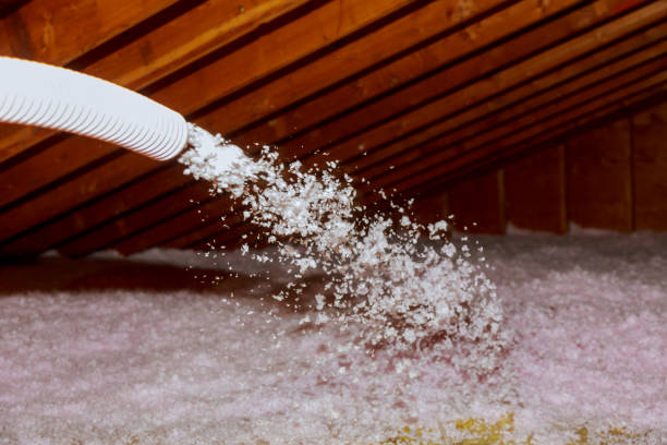 Professional Insulation Contractor in Fort Valley, GA