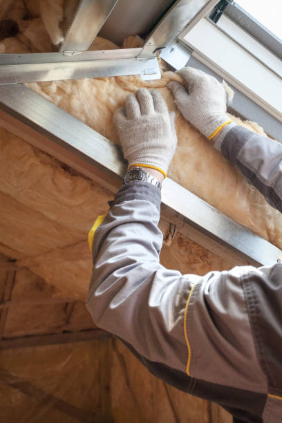 Best Cellulose Insulation in Fort Valley, GA
