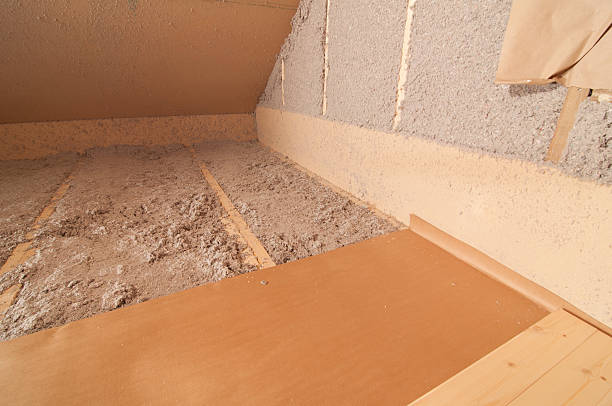 Best Eco-Friendly Insulation in Fort Valley, GA
